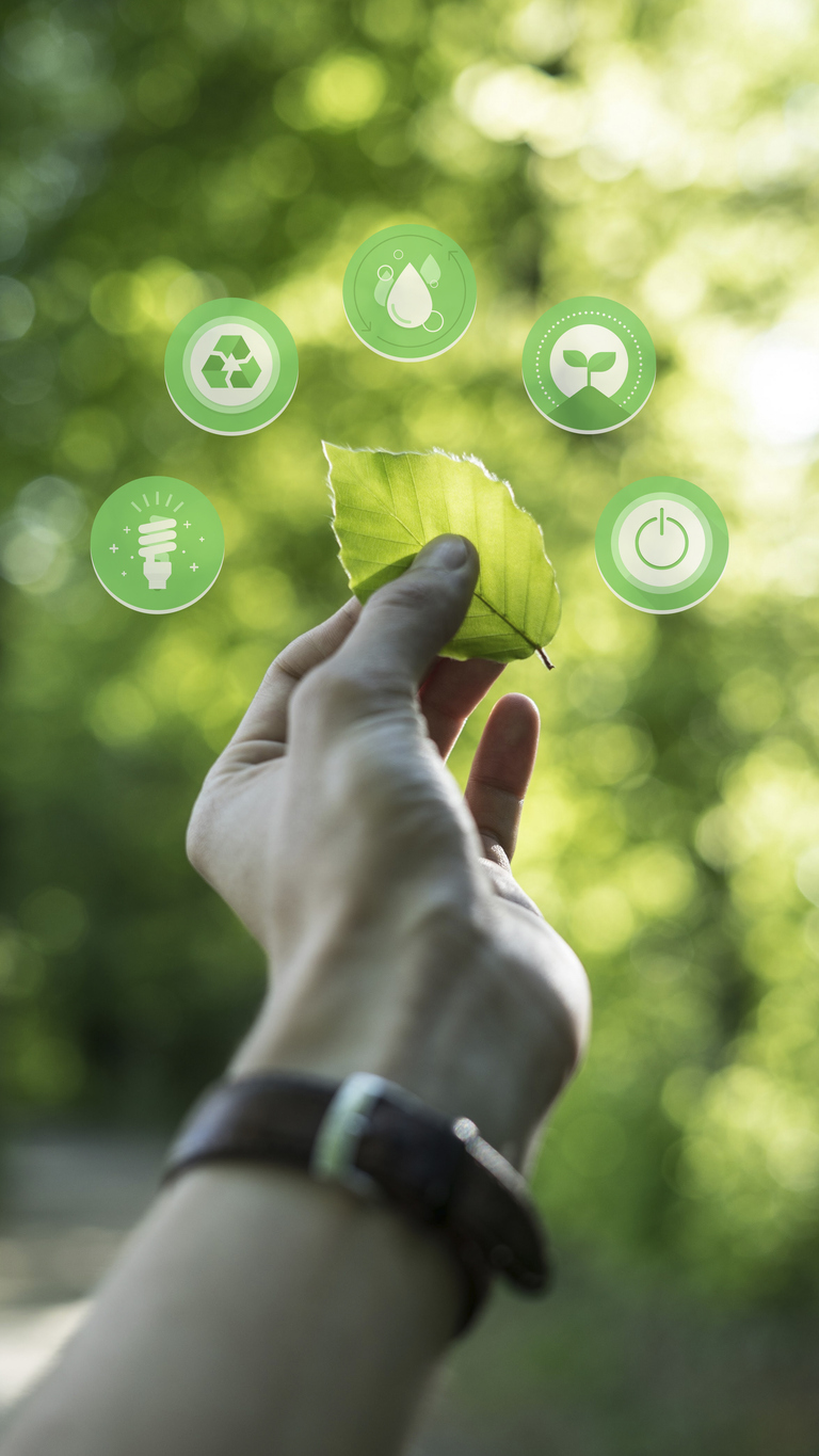 Human hand catch a leaf with sustainable symbols around, green life concept, sustainability, recycling
