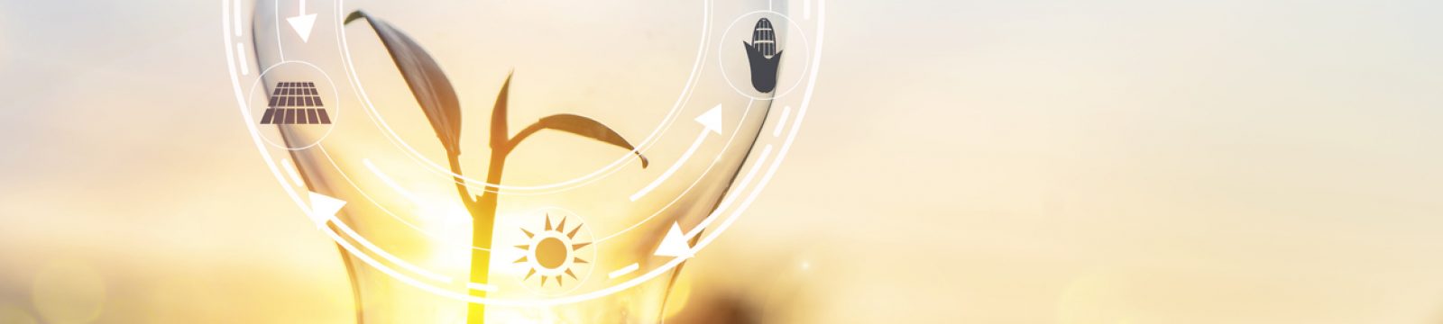 Eenvoudig voldoen aan de EED-auditplicht met Erkend Duurzaam Plus en Premium Eenvoudig voldoen aan de EED-auditplicht met Erkend Duurzaam Plus en Premium